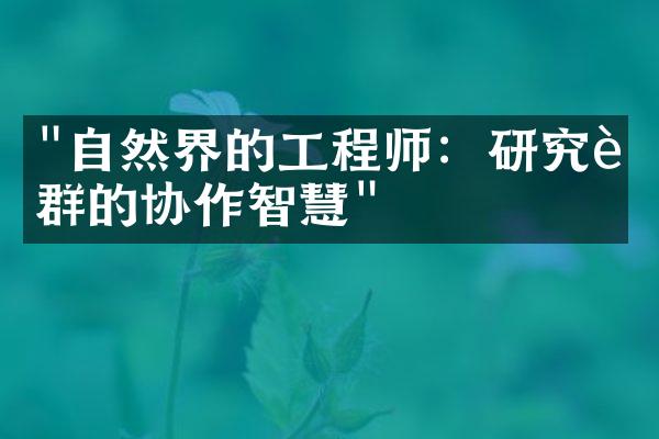 "自然界的工程师：研究蚁群的协作智慧"