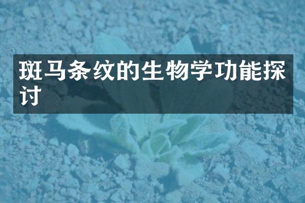 斑马条纹的生物学功能探讨