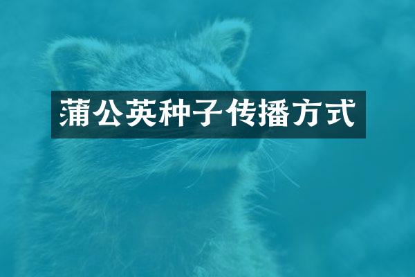 蒲公英种子传播方式