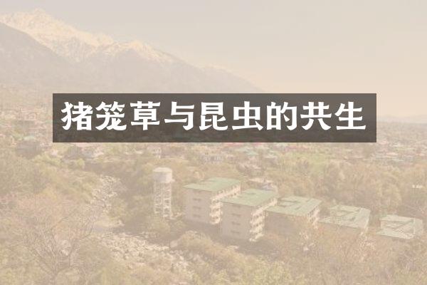 猪笼草与昆虫的共生