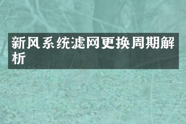 新风系统滤网更换周期解析