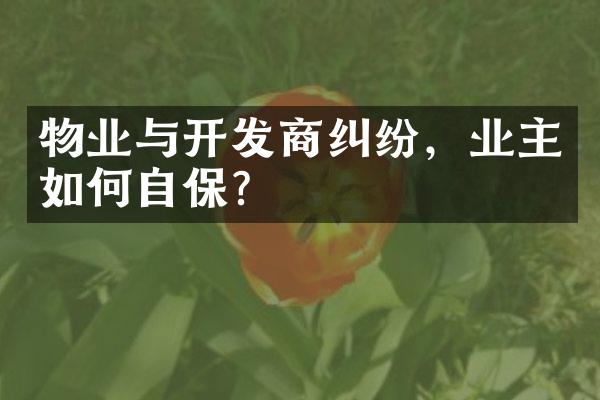 物业与开发商纠纷，业主如何自保？