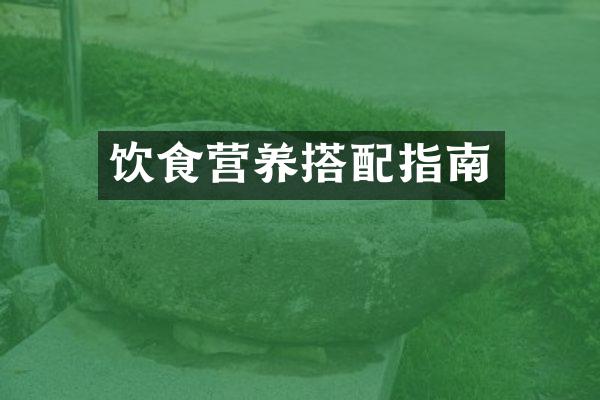 饮食营养搭配指南