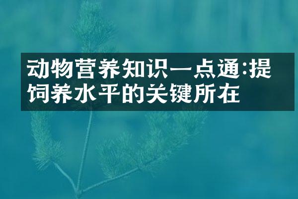 动物营养知识一点通:提升饲养水平的关键所在