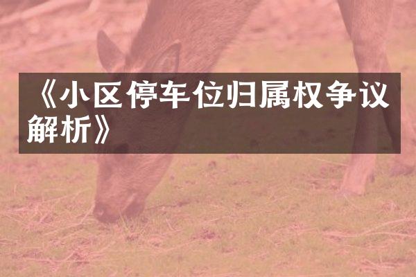 《小区停车位归属权争议解析》