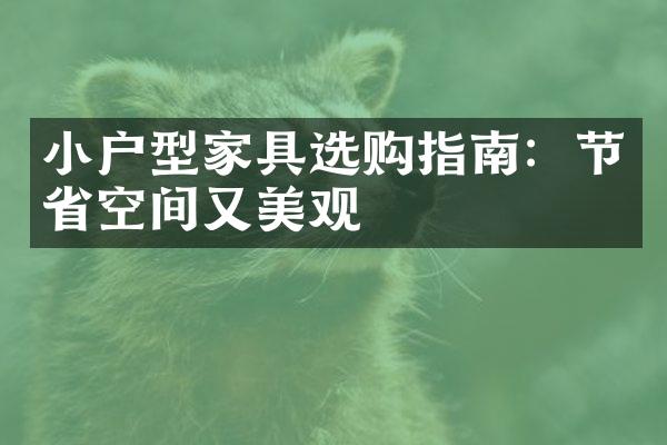 小户型家具选购指南：节省空间又美观