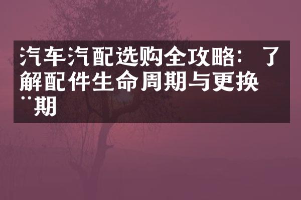 汽车汽配选购全攻略：了解配件生命周期与更换周期
