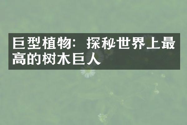 巨型植物：探秘世界上最高的树木巨人