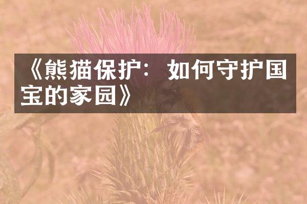 《熊猫保护：如何守护国宝的家园》