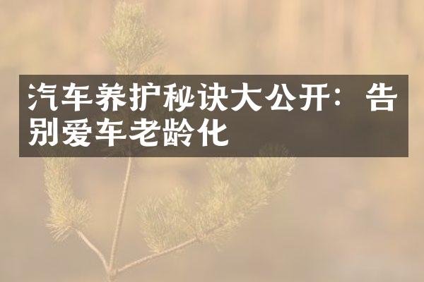 汽车养护秘诀大公开：告别爱车老龄化