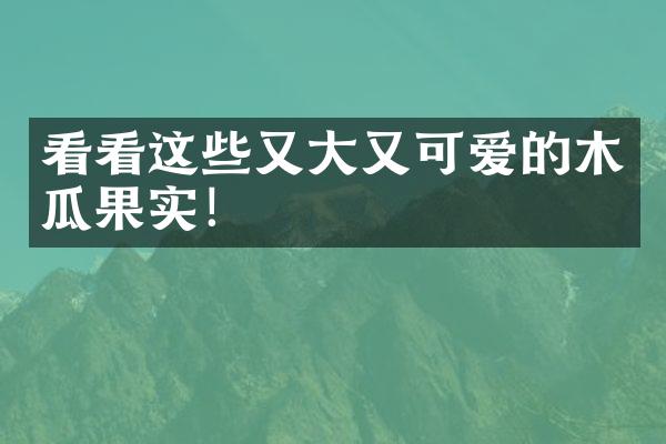 看看这些又大又可爱的木瓜果实！