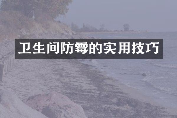 卫生间防霉的实用技巧