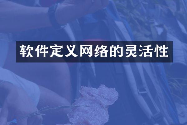 软件定义网络的灵活性