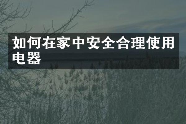 如何在家中安全合理使用电器