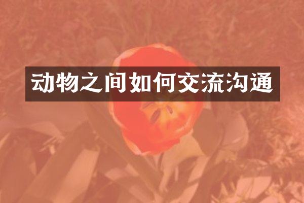 动物之间如何交流沟通