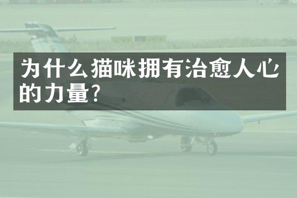 为什么猫咪拥有治愈人心的力量？