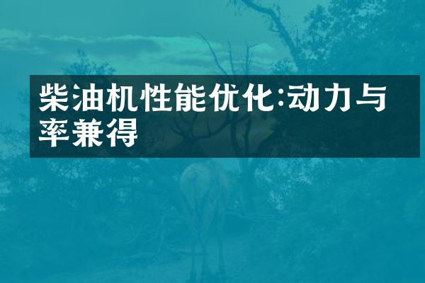 柴油机性能优化:动力与效率兼得