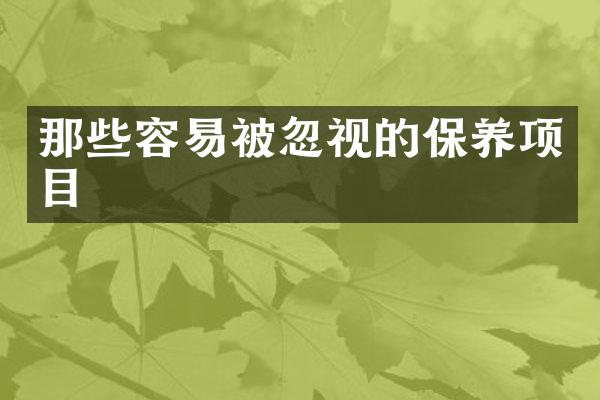 那些容易被忽视的保养项目