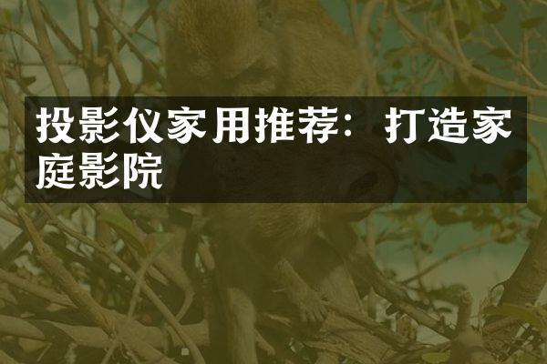 投影仪家用推荐：打造家庭影院