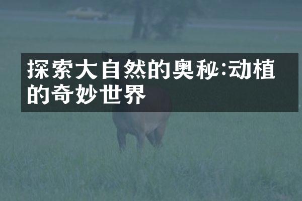 探索大自然的奥秘:动植物的奇妙世界