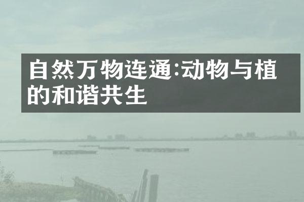 自然万物连通:动物与植物的和谐共生