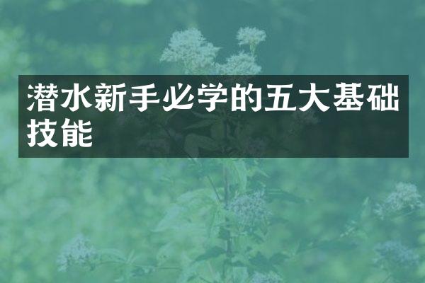 潜水新手必学的五大基础技能