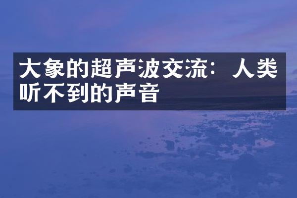 大象的超声波交流：人类听不到的声音