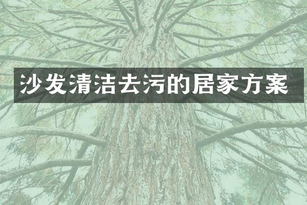沙发清洁去污的居家方案