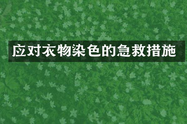 应对衣物染色的急救措施