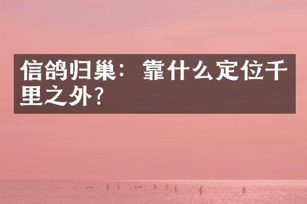 信鸽归巢：靠什么定位千里之外？