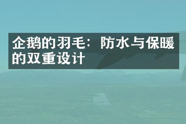 企鹅的羽毛：防水与保暖的双重设计
