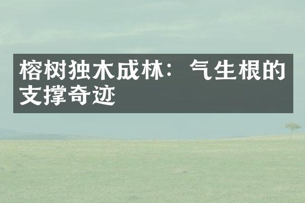 榕树独木成林：气生根的支撑奇迹