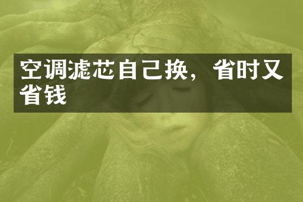 空调滤芯自己换，省时又省钱