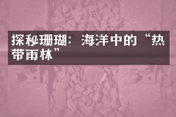 探秘珊瑚：海洋中的“热带雨林”