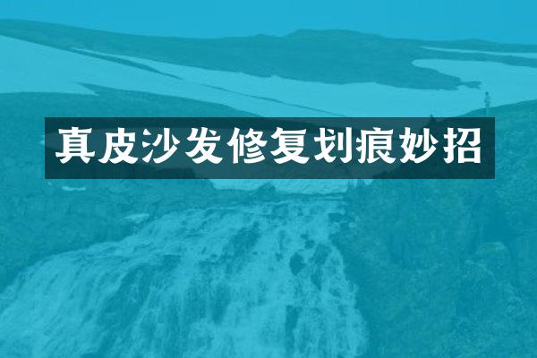 真皮沙发修复划痕妙招