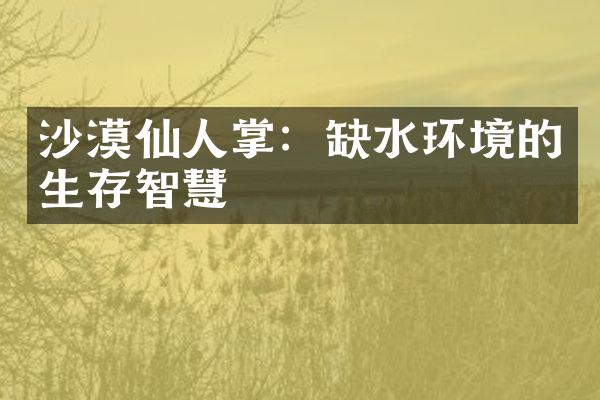 沙漠仙人掌：缺水环境的生存智慧