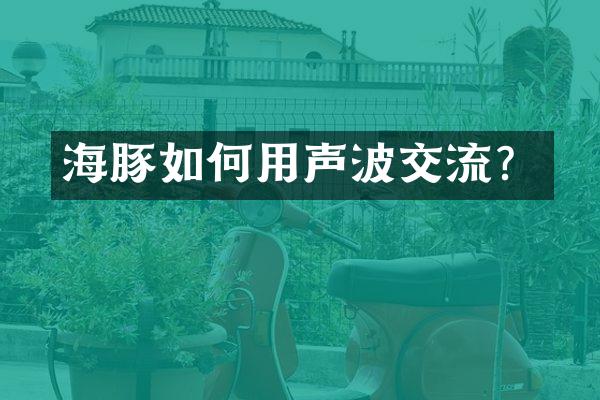 海豚如何用声波交流？