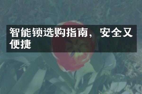智能锁选购指南，安全又便捷