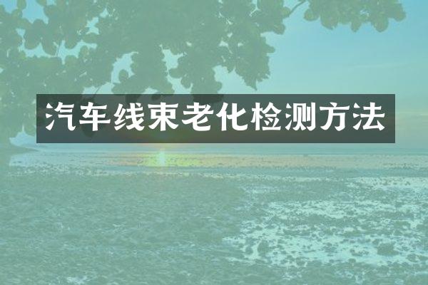 汽车线束老化检测方法