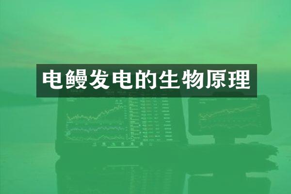 电鳗发电的生物原理