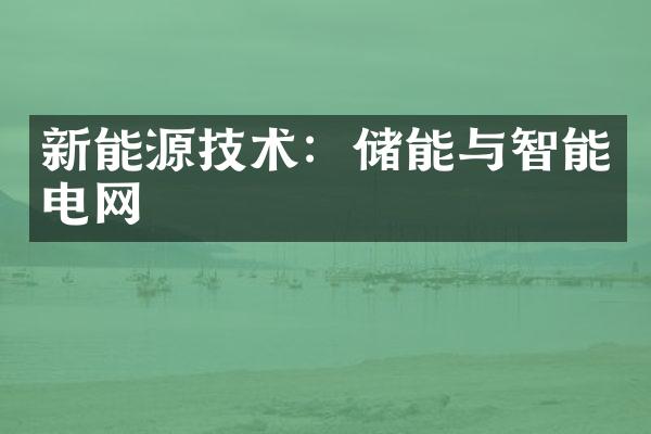 新能源技术：储能与智能电网