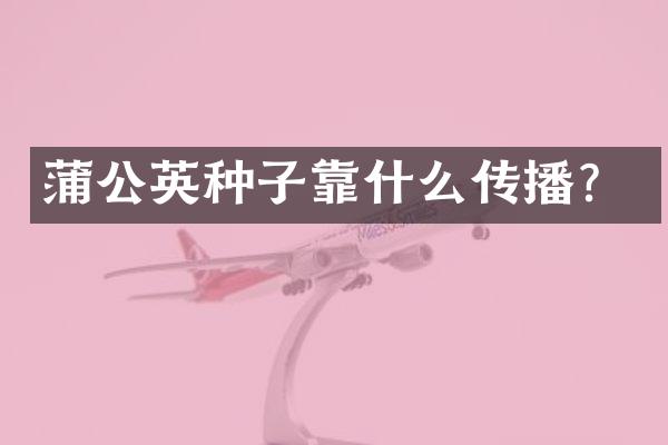 蒲公英种子靠什么传播？