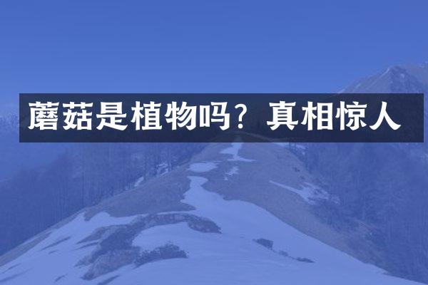 蘑菇是植物吗？真相惊人