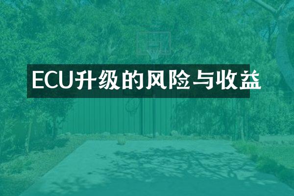 ECU升级的风险与收益