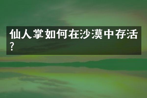 仙人掌如何在沙漠中存活？