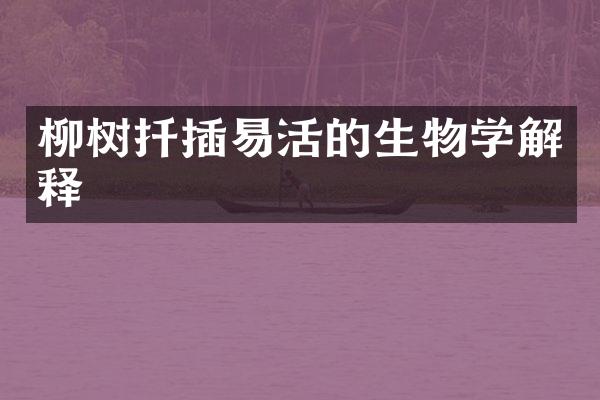 柳树扦插易活的生物学解释