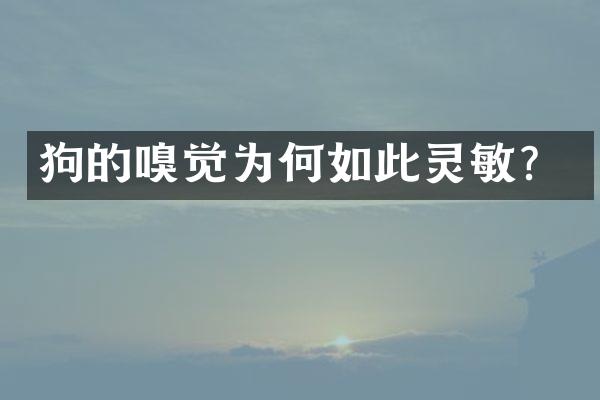 狗的嗅觉为何如此灵敏？