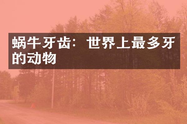 蜗牛牙齿：世界上最多牙的动物