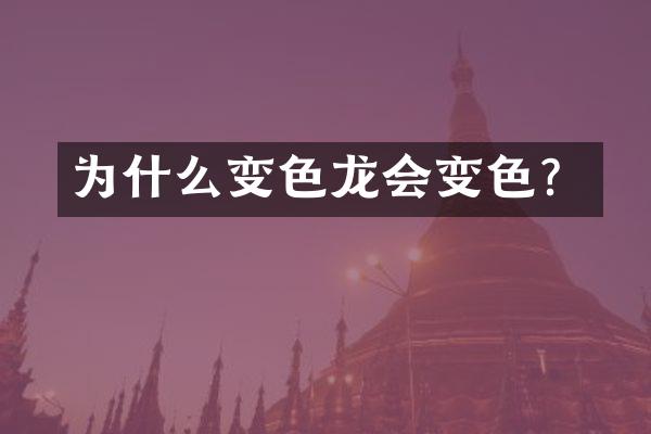 为什么变色龙会变色？