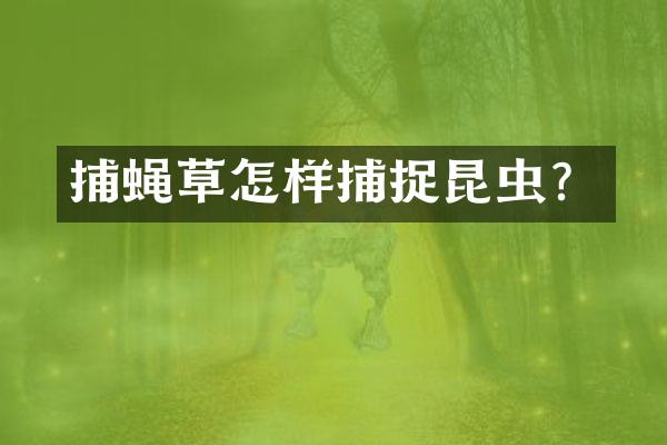 捕蝇草怎样捕捉昆虫？